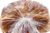 King Soopers Oat Grain and Honey Bread Perspective: top