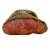 Private Selection™ Angus Roast Beef Fresh Sliced Deli Meat Top Round Perspective: top