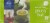Kroger® Green Tea Bags Perspective: top