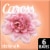 Caress White Peach & Orange Blossom Daily Silk Beauty Bars Perspective: top