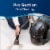 BISSELL SpotClean Professional Portable Carpet Cleaner 3624 Perspective: top