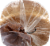 Roundy's Whole Wheat Bread Perspective: top