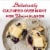 Vermont Creamery® Sea Salt Cultured Butter Sticks Perspective: top