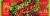 Mtn Dew® Flamin' Hot® Dew® Soda Cans Perspective: top