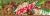Mtn Dew Fruit Quake Soda Cans Perspective: top