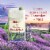 Old Spice GentleMan's Collection Aluminum-Free Deodorant Lavender and Mint 1-Pack Perspective: top