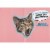 Avanti Press Greeting Cards Birthday OMG Cat Perspective: top