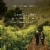 Freemark Abbey Napa Valley Cabernet Sauvignon Red Wine Perspective: top