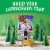 Lucky Charms Gluten Free St. Patricks Day Cereal with Marshmallows Perspective: top