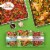 Betty Crocker™ Mediterranean Style Balsamic Sheet Pan Dinner Starter Kit Perspective: top