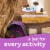 Cheerios Protein Mixed Berry Chewy Cereal Treat Bars Perspective: top