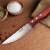 Tramontina Porterhouse Steak Knife Set - 4 pc Perspective: top