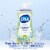 Dial® Antibacterial Defense™ Fresh Pear Foaming Hand Wash Perspective: top