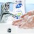 Dial Complete Soothing White Tea Foaming Antibacterial Hand Soap Refill Perspective: top