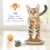 Purina Kitten Chow Chicken Flavor Dry Kitten Food Perspective: top