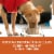 Purina ONE SmartBlend Healthy Weight Formula Turkey Natural Dry Adult Dog Food Perspective: top