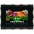 Dog Chow High Protein Beef and Chicken in Savory Gravy Wet Dog Food (12 Pack) Perspective: top