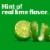 Bud Light Lime Lager Beer Perspective: top