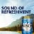 Busch Beer Perspective: top