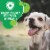 IAMS Proactive Health Small & Toy Breed Chicken Dry Dog Food Perspective: top