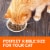 Iams Proactive Health Salmon Healthy Adult Dry Cat Food Perspective: top