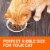 Iams Proactive Health Adult Dry Cat Food Salmon Perspective: top