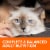 IAMS Healthy Enjoyment Chicken & Salmon Dry Cat Food Perspective: top