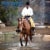 Breyer 1831 Hand-Painted Checkers Horse Model Collectible Toy 1:9 Scale, Brown Perspective: top
