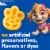 Kraft Mac N Cheese Macaroni and Cheese Dinner with Nickelodeon Paw Patrol Pasta Shapes Perspective: top