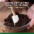 Marie Callender's Chocolate Brownie Cream Pie Frozen Dessert Perspective: top