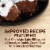Marie Callender's Chocolate Satin Mini Pies Frozen Dessert Perspective: top