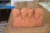 The Golden Girls Rushmore Chia Pet Decorative Planter Toynk Exclusive Perspective: top