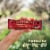 Larabar Peanut Cocoa Crunch Fruit and Nut Bars Perspective: top