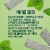 Wrigley's Doublemint Mint Gum Chewing Gum Mega Pack Perspective: top