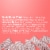 Extra Sweet Watermelon Sugar Free Chewing Gum Mega Pack Perspective: top