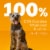 PEDIGREE CHOPPED GROUND DINNER Chicken Adult Canned Soft Wet Dog Food Perspective: top