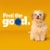 Pedigree Puppy Dry Puppy Food Chicken and Vegetable Flavor Perspective: top