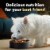 Cesar Home Delights Slow Cooked Chicken & Vegetables & Beef Stew Adult Wet Dog Food Variety Pack Perspective: top
