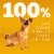 Pedigree Complete Nutrition Grilled Steak and Vegetable Flavor Small Dog Adult Dry Dog Food Perspective: top