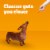 Pedigree Dentastix Original Adult Toy/Small Dog Dental Chew Dog Treats Chicken Flavor Perspective: top