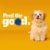 Pedigree Puppy Chicken Dry Dog Food Perspective: top