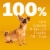 Pedigree Small Dog Adult Dry Dog Food Grilled Steak and Vegetable Flavor Perspective: top