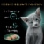 Sheba Perfect Portions Pate Salmon Soft Wet Kitten Food Perspective: top