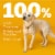 Pedigree MarroBites Adult Dry Dog Food Grilled Steak and Vegetable Flavor Perspective: top
