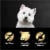 Cesar Filets in Gravy Wet Dog Food Mini-Pouch Filet Mignon Perspective: top