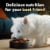 Cesar Filet Mignon & New York Strip Adult Soft Wet Dog Food Variety Pack Perspective: top