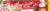 Little Debbie® Vanilla Christmas Tree Snack Cakes Perspective: top
