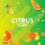 Scrubbing Bubbles Bathroom Grime Fighter Disinfectant Cleaner Citrus Scent Perspective: top