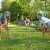 Franklin Professional Horseshoes Perspective: top