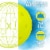 Franklin Performance Pickleball Pack Perspective: top
